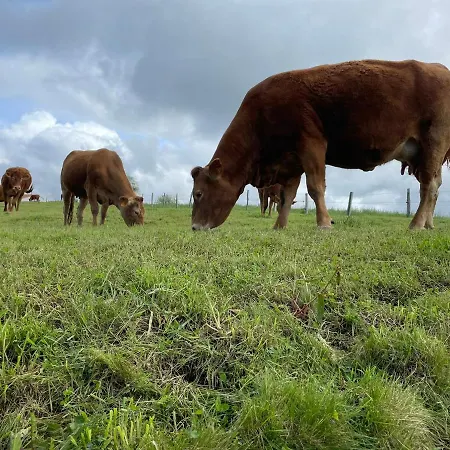 Lejlighed Mirador De Canales (Cantabria)