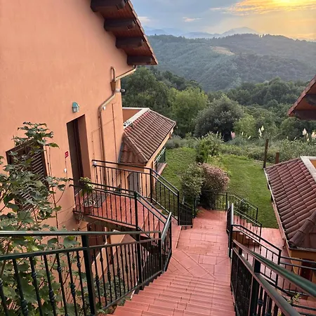 Mirador De