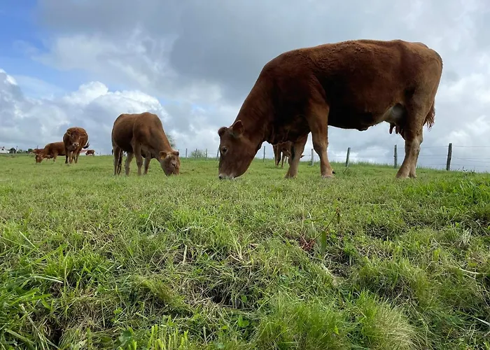 דירה Mirador De Canales (Cantabria)